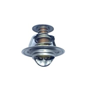 Thermostat | Caterpillar 3034 | B4W-8063