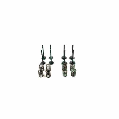 Valve, Train Kit | Caterpillar C2.2 | BVTK558