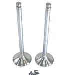 Exhaust Valve Kit | Cummins 6CT / 6CTA 8.3 Engine | C3802085