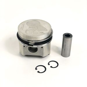 Piston & Ring Kit Std | Kubota 03 Series V2203-E2B | K19077-21772