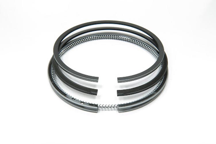 Ring Set 0.50 mm | Kubota 03 Series V2203-E2B | K1A091-21090