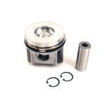 Kit, Piston & Rings, Std | Kubota V3300 DI | K1G556-21774