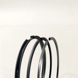 Ring Set, Std | Kubota V2003t IDI | K1G610-21050