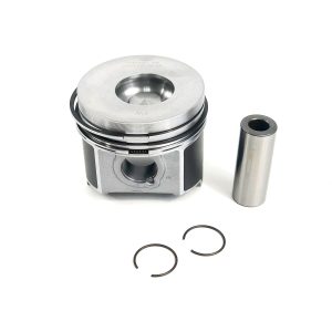 Piston & Ring Kit Std | Kubota 03 Series V2203-E2B | K1G796-21772