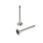 Exhaust Valve | 4.203 (JD) Perkins | P0910002