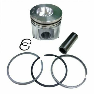 Piston std | 1103C-33T (DD, DK) Perkins | P3135M121