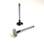 Exhaust Valve | 1103C-33T (DD) Perkins | P3142A151