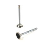 Exhaust Valve | G4.236 Perkins | P31431701