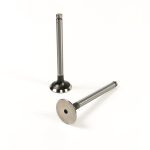 Exhaust Valve | 4.236 (LD) Perkins | P31431881