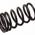Valve Outer Spring | T6.354 Rope Perkins | P31745121