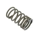 Valve Spring | 1104A-44T (RS, RT) Perkins | P3174A016