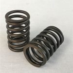 Valve Spring | 3029T John Deere | TR26125