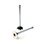 Exhaust Valve Std | 6.404T/A John Deere | TR43679