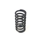Spring Valve Inner | 6.531T John Deere | TR49569