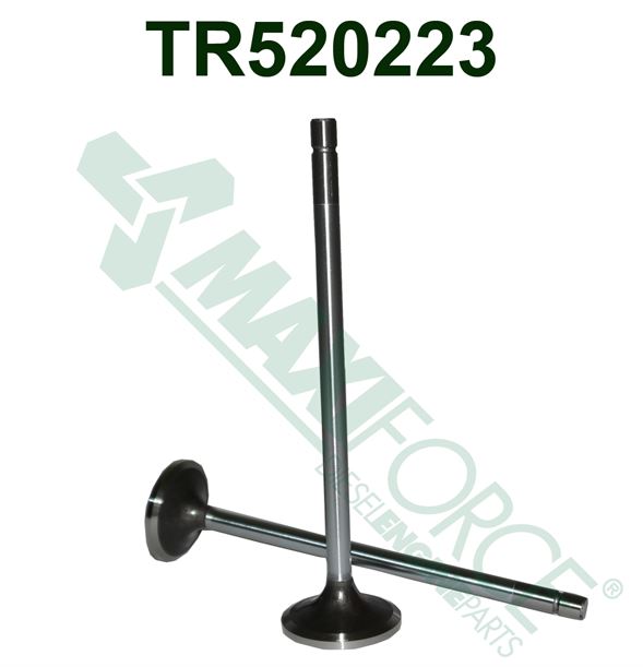 Intake Valve | John Deere 6090 | TR520223