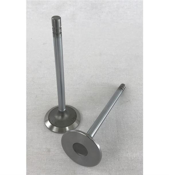 Intake Valve Std | 6081 John Deere | TR84618