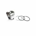Piston & Ring Kit Std. | Yanmar 4TNV106 | 123907-22081