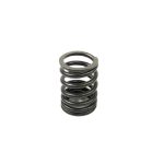 Spring, Valve | Yanmar 3TNV84 | 129795-11120